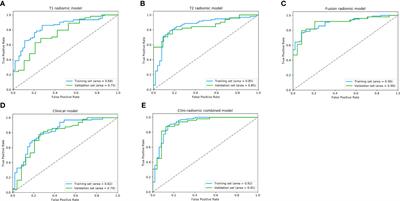 Non-Invasive Preoperative Imaging Differential Diagnosis of Intracranial Hemangiopericytoma and Angiomatous Meningioma: A Novel Developed and Validated Multiparametric MRI-Based Clini-Radiomic Model